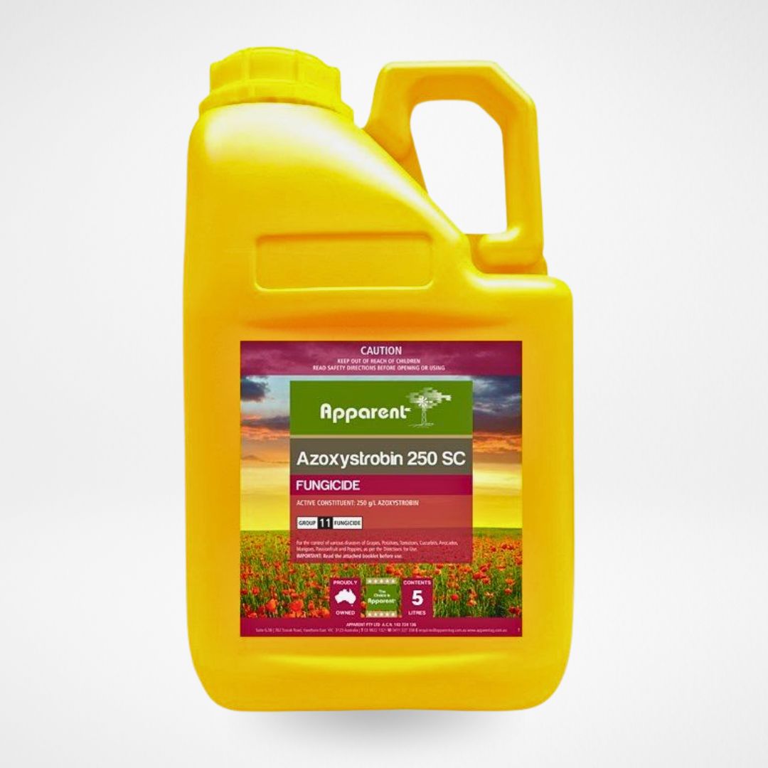 Apparent Azoxystrobin 250SC Fungicide 5L container