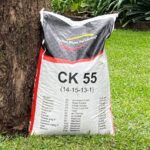 ck55