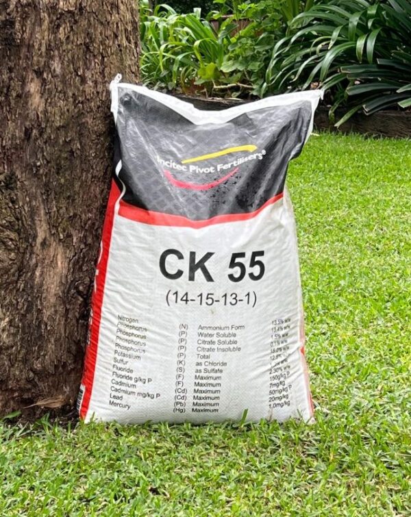 ck55