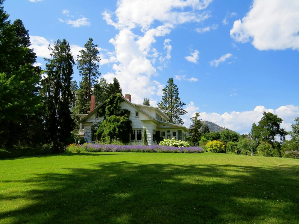 lush lawn because of aeration