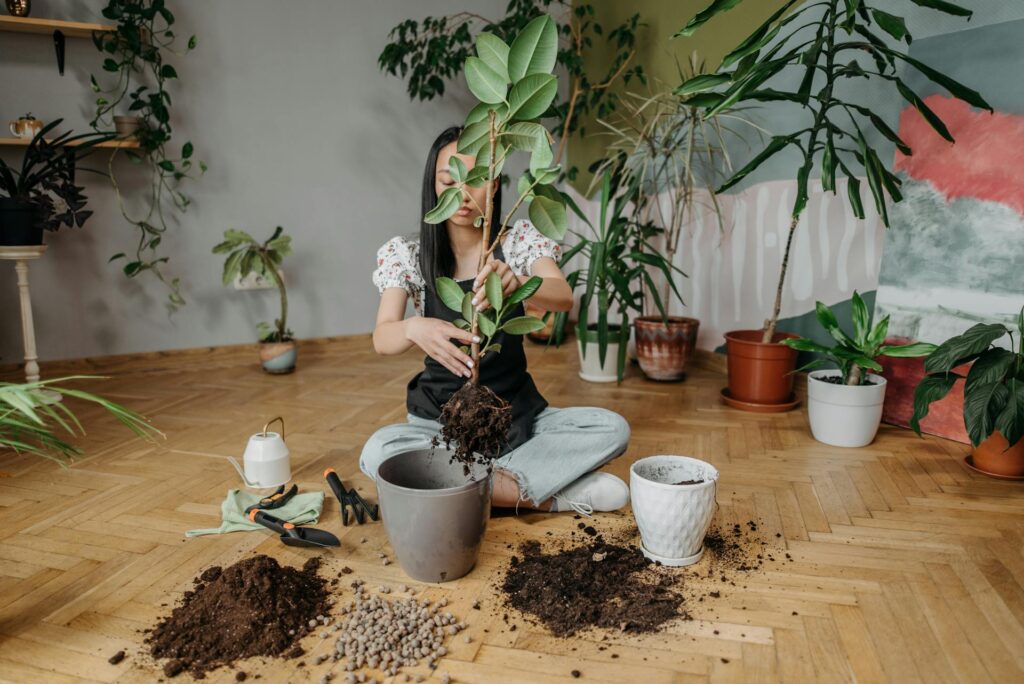 Choosing the Right Fertilisers for Your Garden