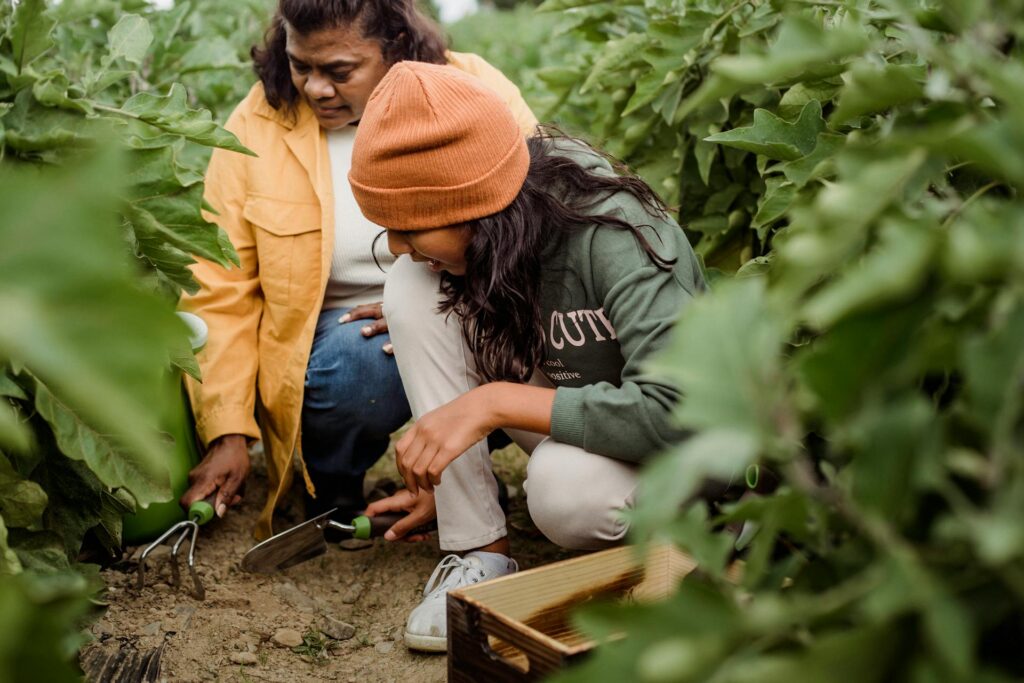 Common Mistakes to Avoid in Companion Planting
