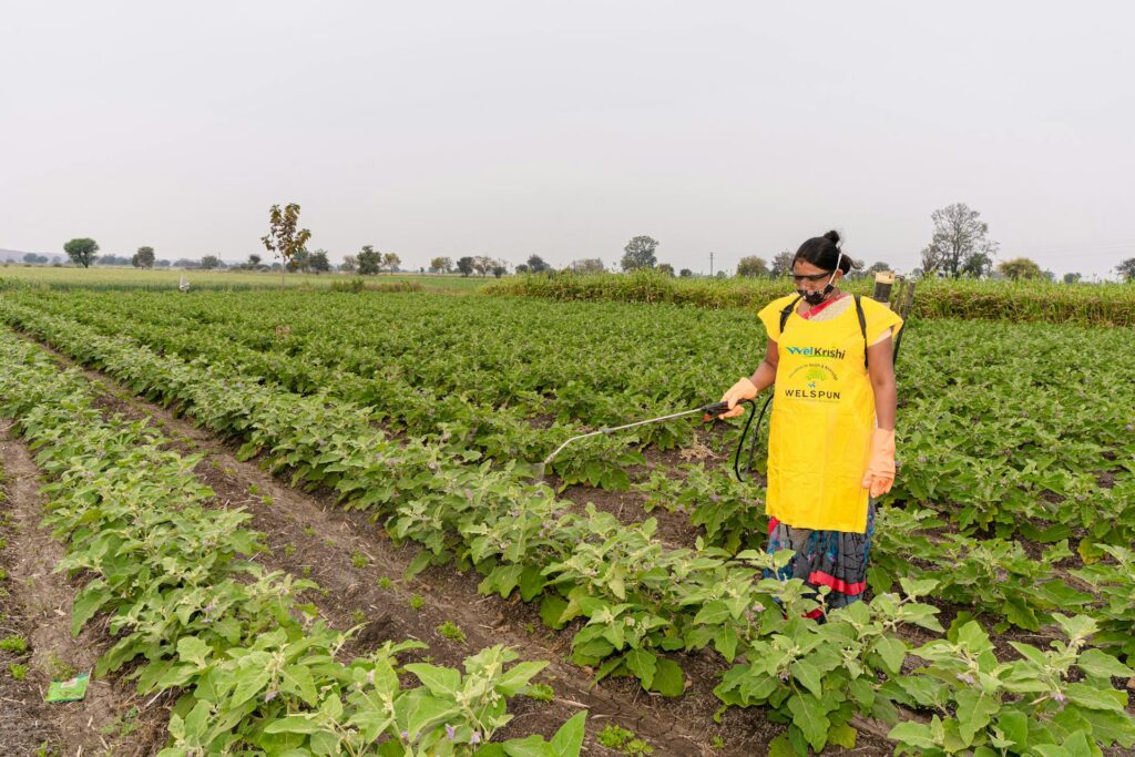 Health Risks Associated with Overusing Pesticides