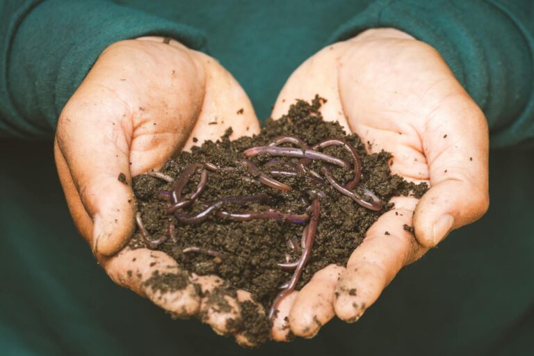 How to Make Your Own Compost at Home