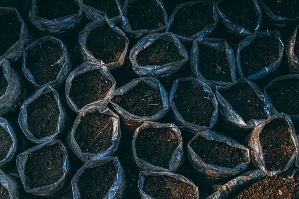 How to Test Soil pH