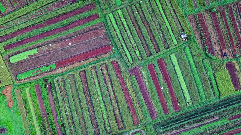 The Benefits of Crop Rotation