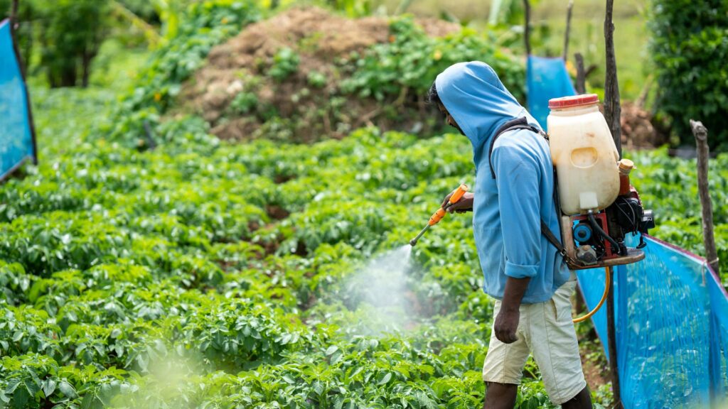 Tips for Reducing Pesticide Use