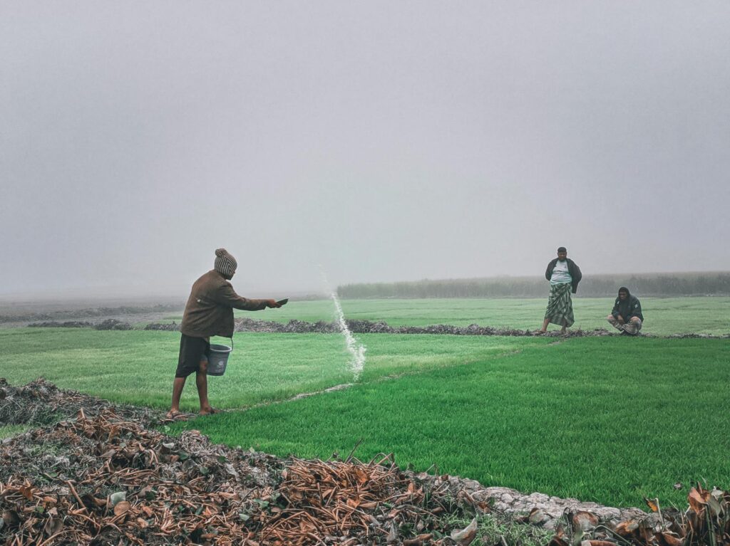 Understanding Granular Fertilisers
