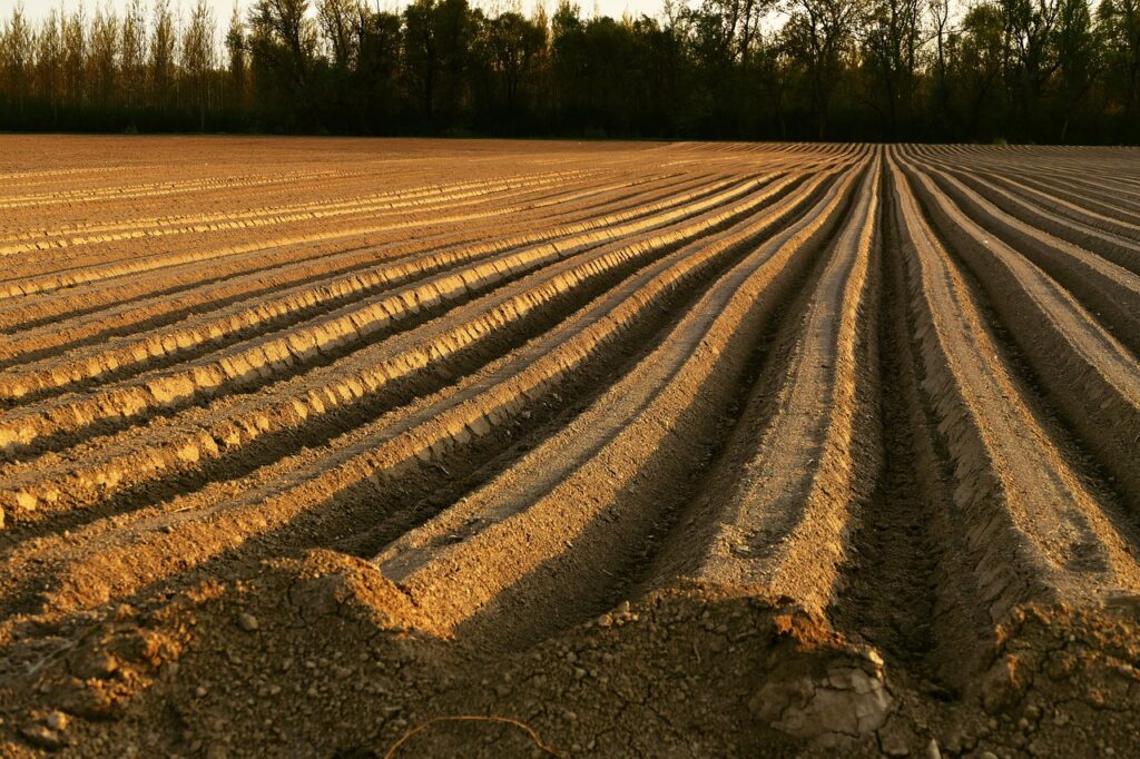 Why is Soil pH Important