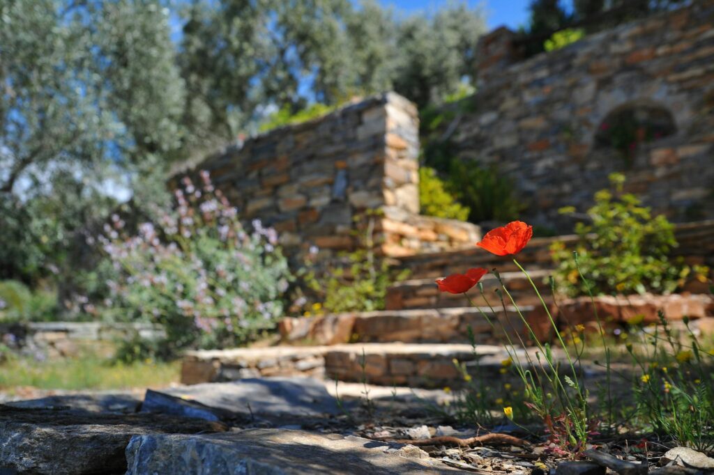 How to Maintain Commercial Landscapes Year-Round