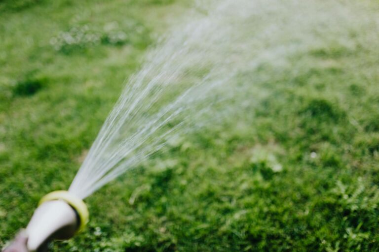 How to Water Your Lawn for Optimal Health