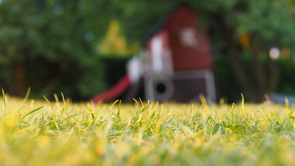 Understanding the Causes of Patchy Lawns