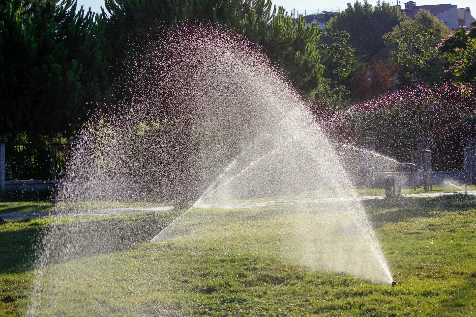 How to Water Your Lawn for Optimal Health