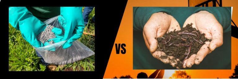 synthetic vs organic