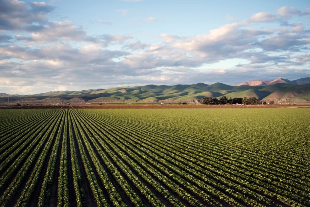 land crops