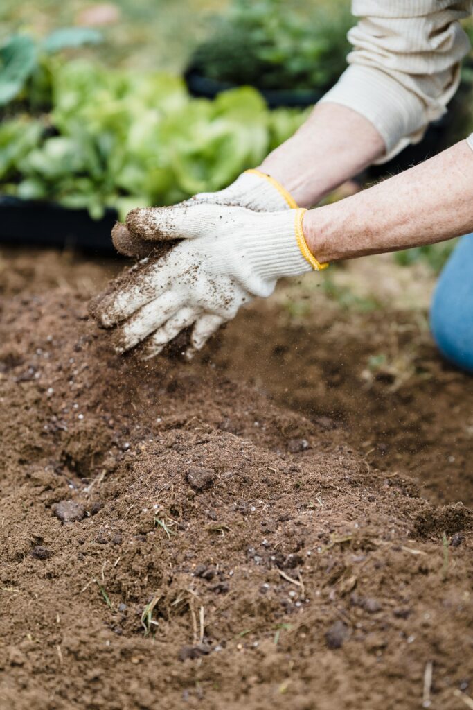 land prep