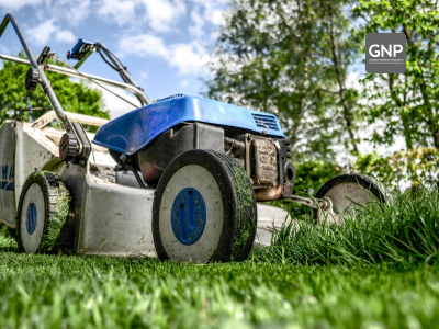 10 Lawn Maintenance Mistakes You’re Probably Making
