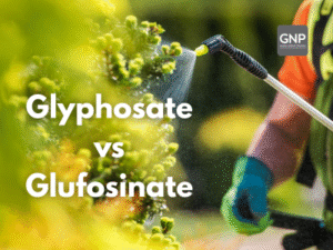 Glyphosate vs Glufosinate