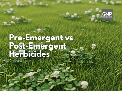 Pre-Emergent vs Post-Emergent Herbicides