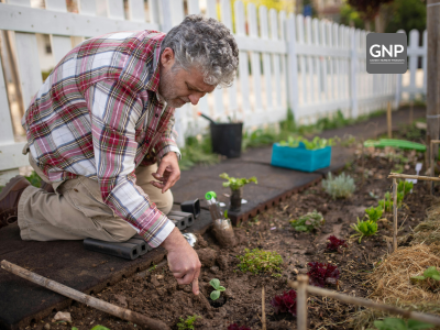 What Every Gardener Should Know Before Using Insecticides