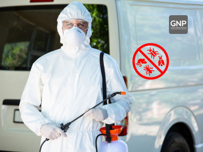 blog-prof pest service