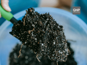 slow-release fertilisers