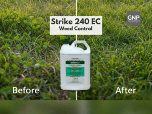 Strike 240 EC cover