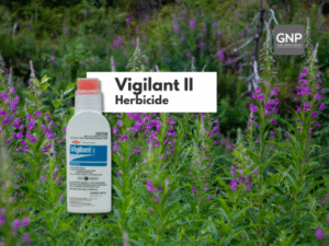 vigilant ii