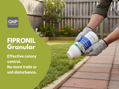 blog-Fipronil