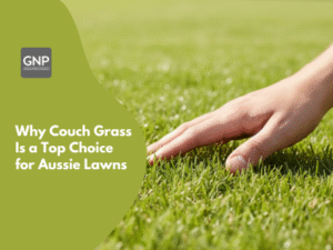 Why Couch Grass Is a Top Choice for Aussie Lawns