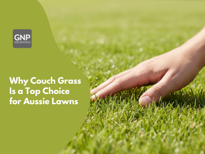 Why Couch Grass Is a Top Choice for Aussie Lawns
