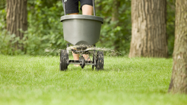 Spreader applying fertiliser on a lawn in autumn