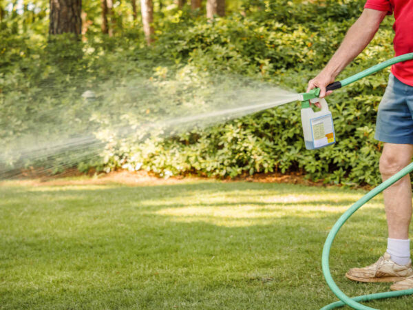 Person spraying lawn treatment with a hose-end sprayer across a green backyard lawn bordered by shrubs and trees.