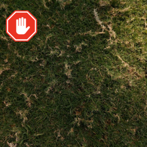 Lawn with visible runners and a stop icon highlighting a lawn care warning