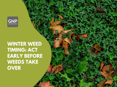 Winter weed timing blog cover with autumn lawn weeds and fallen leaves