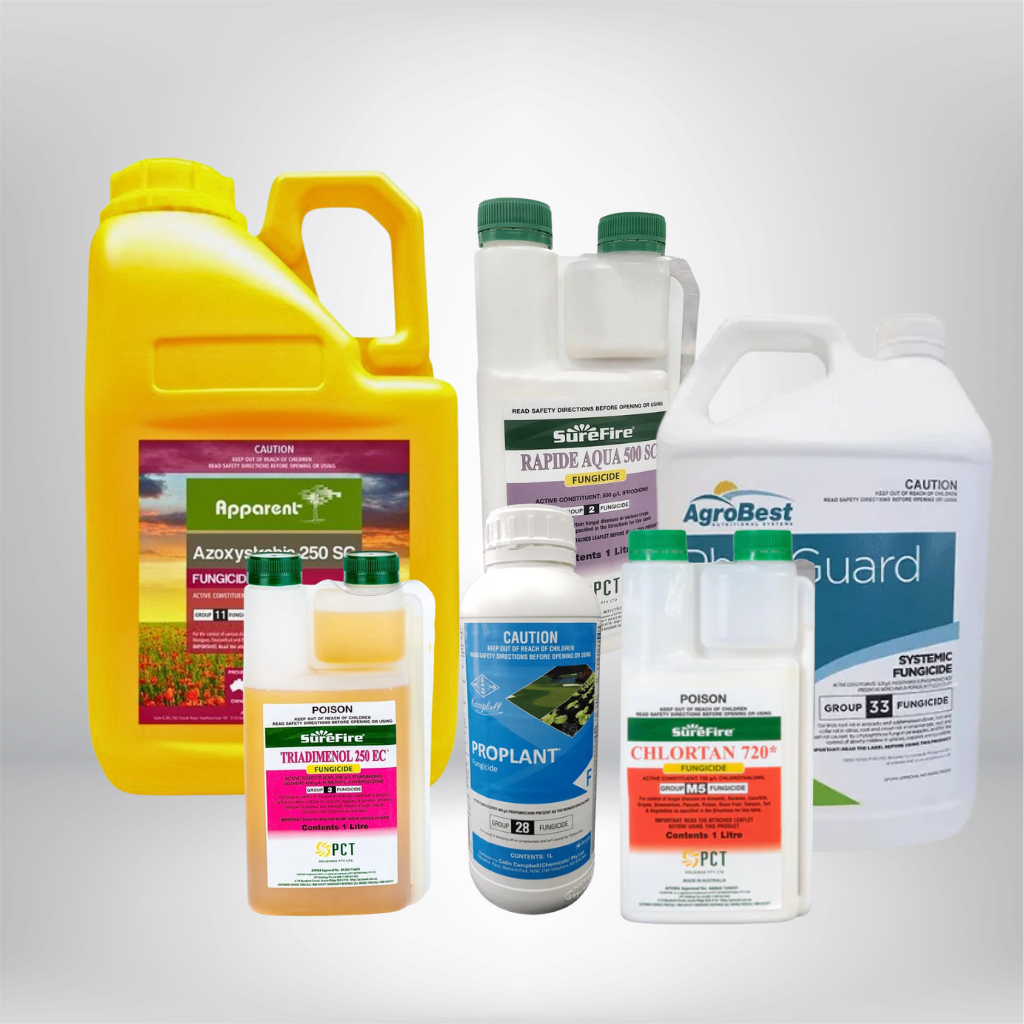 Fungicide products for treating fungal disease in lawns, gardens and turf
