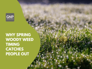 Spring woody weed timing, Garden Nursery Products blog cover